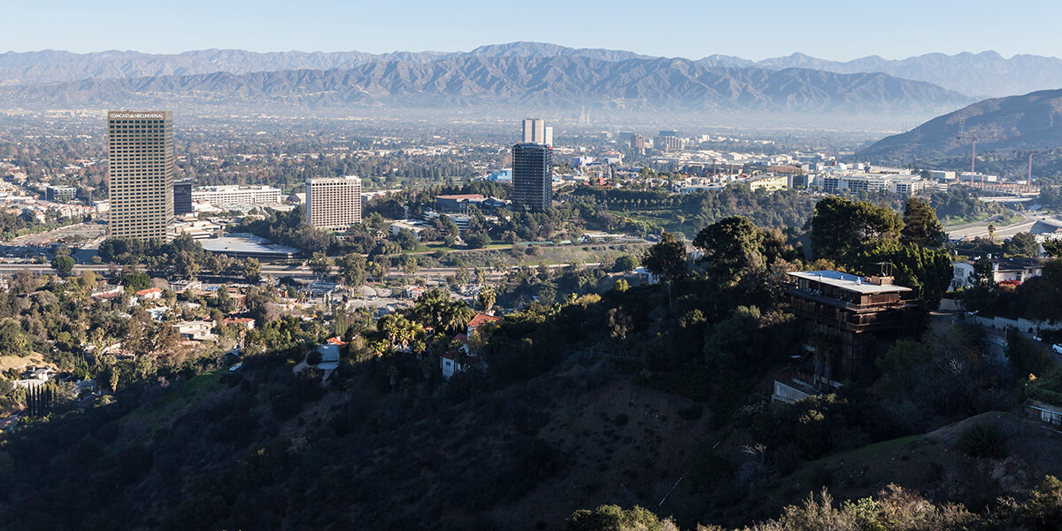 tree service studio city ca tree removal studio city tree trimming studio city