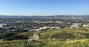 tree service culver city tree removal culver city tree trimming culver city ca california
