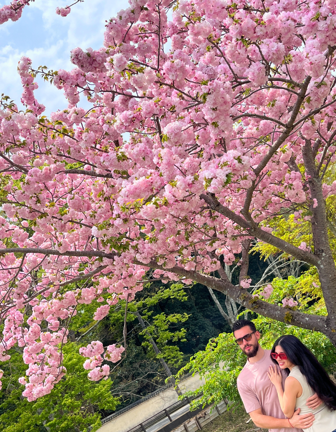 Private Kansai walking tour during cherry blossom season with a local guide