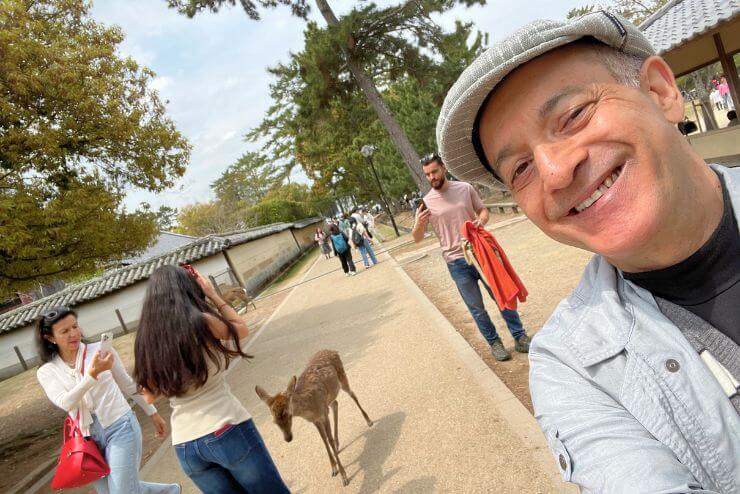 Travelers meeting deer in Nara with local Kansai tour guide