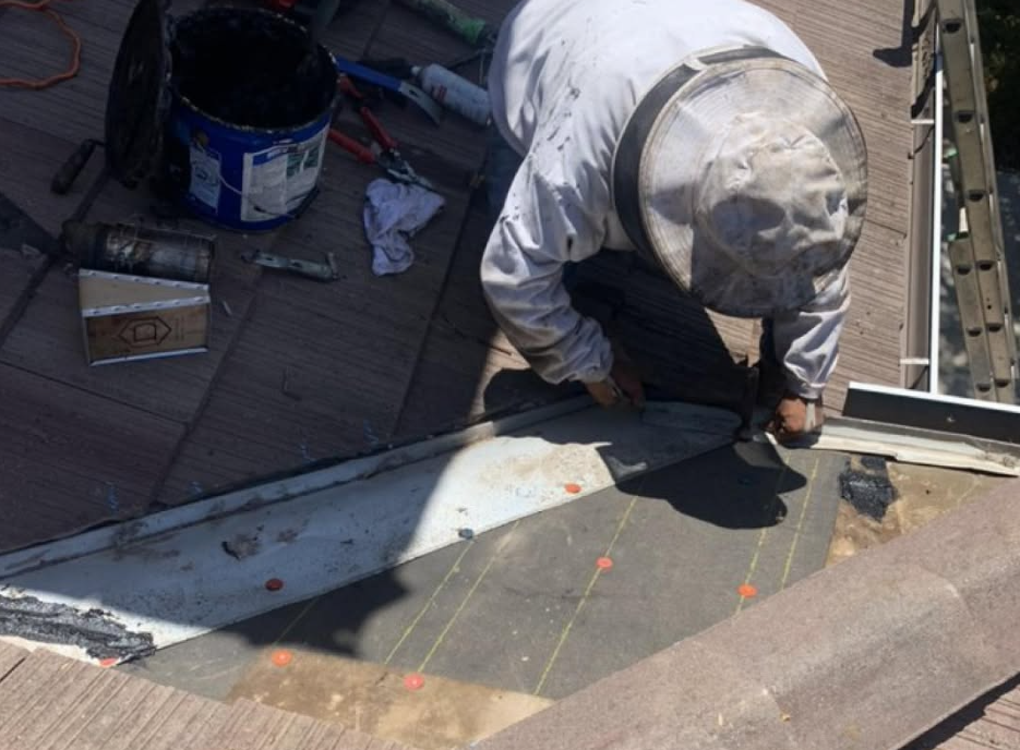 What to Expect After Bee Removal - Timeline and Follow-Up