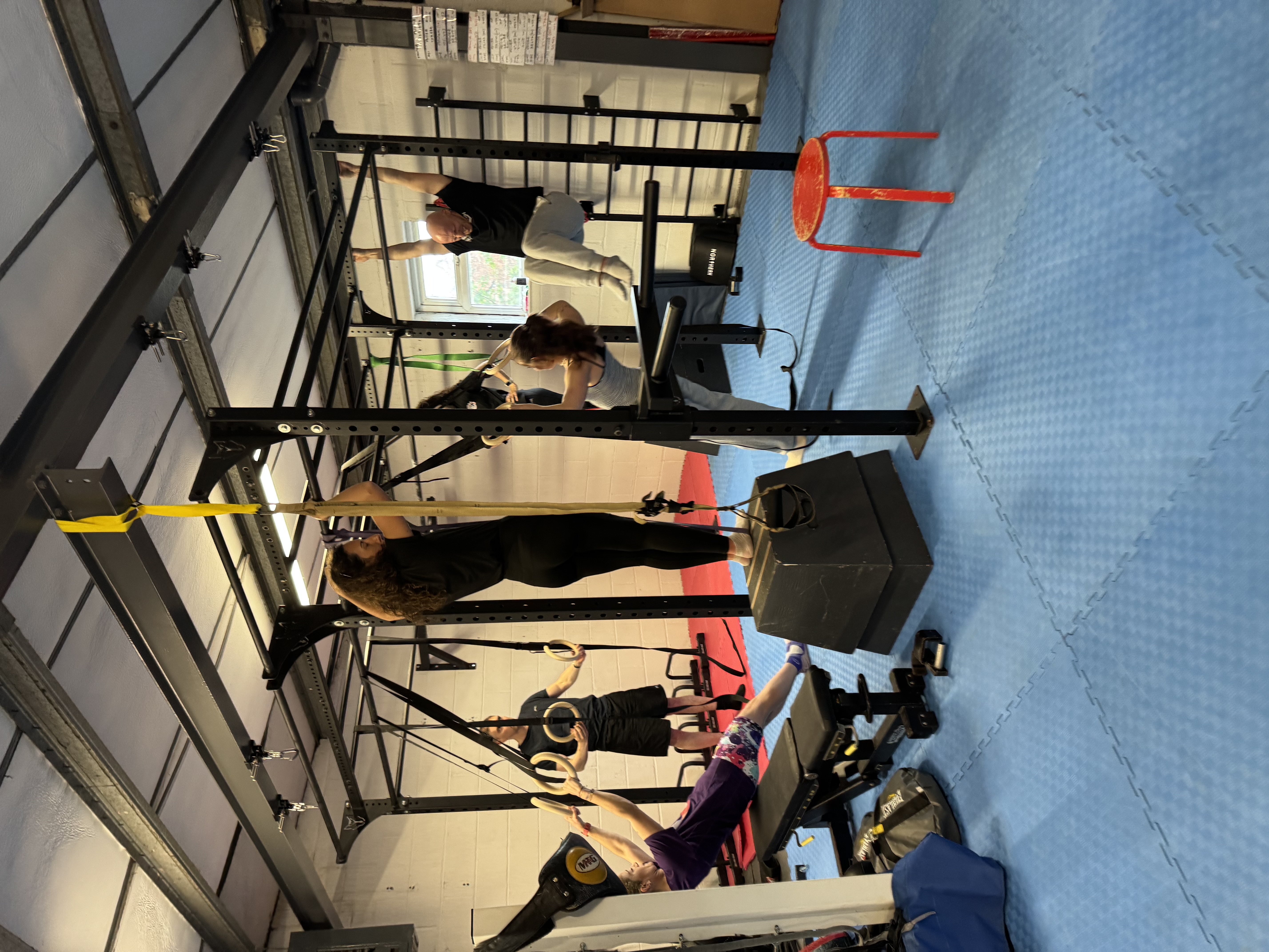 Leamington Calisthenics indoor training rig and gymnastics rings