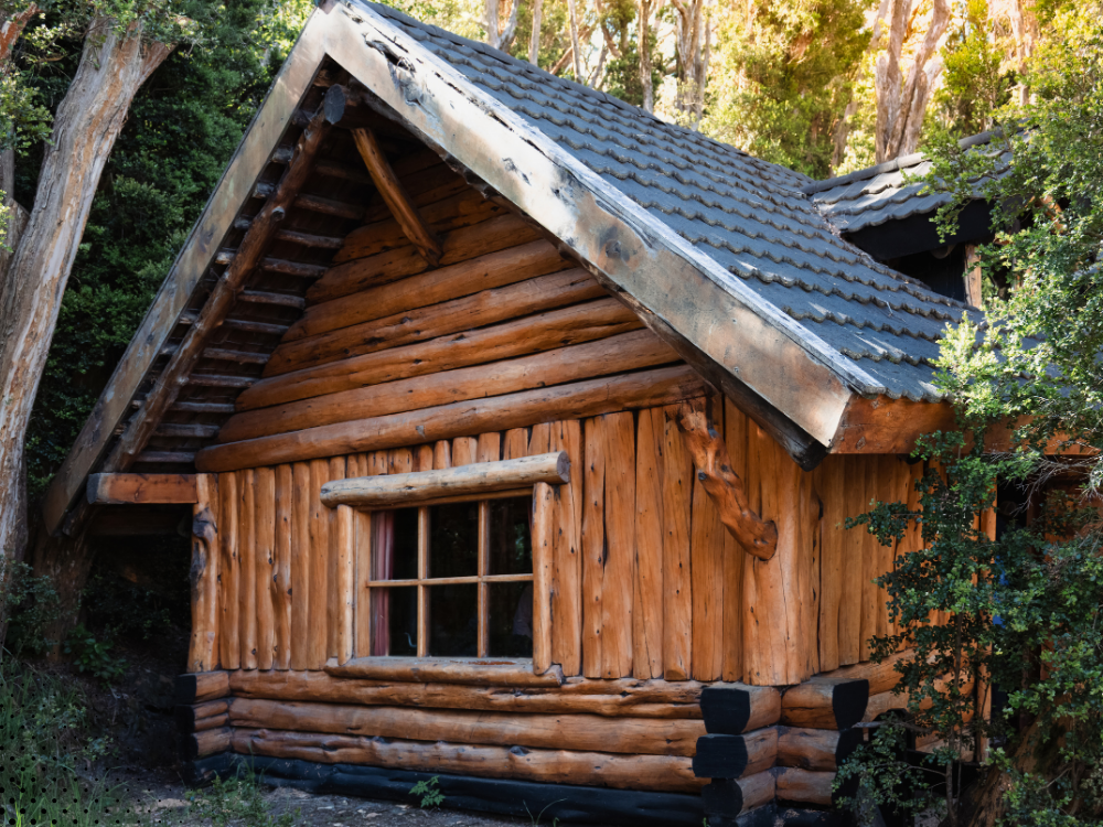 Log cabin exterior with wood siding and shingle roof, typical mountain cabin structure inspected for moisture and roof conditions