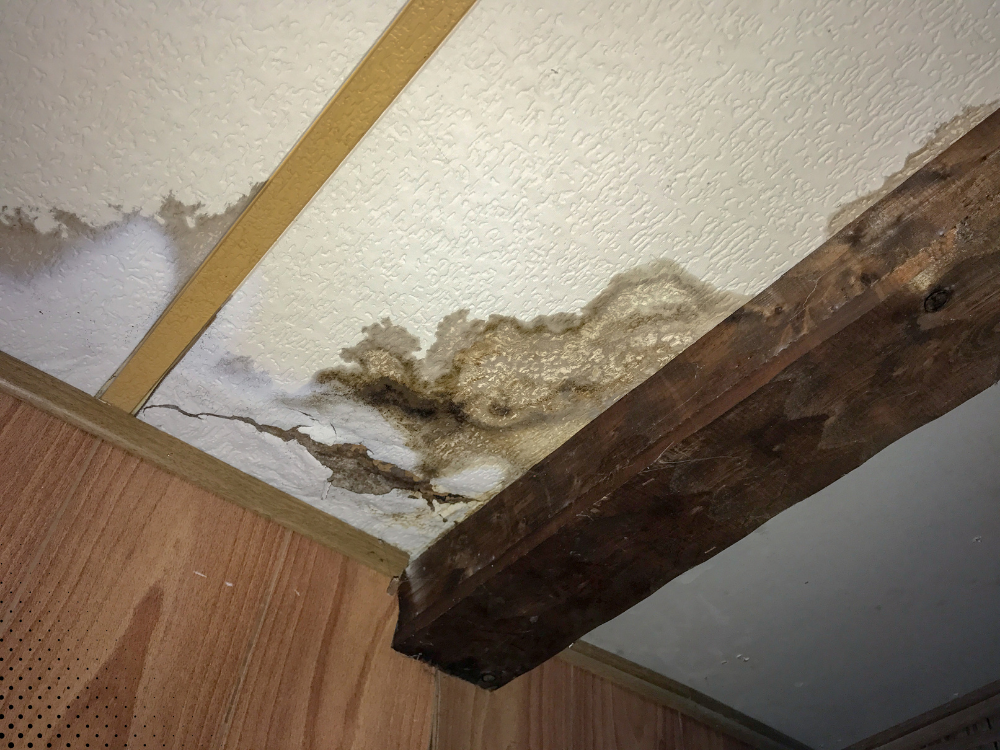 Water damage and mold growth visible on a ceiling near a wooden beam, showing dark staining and moisture intrusion likely from a roof or plumbing leak.