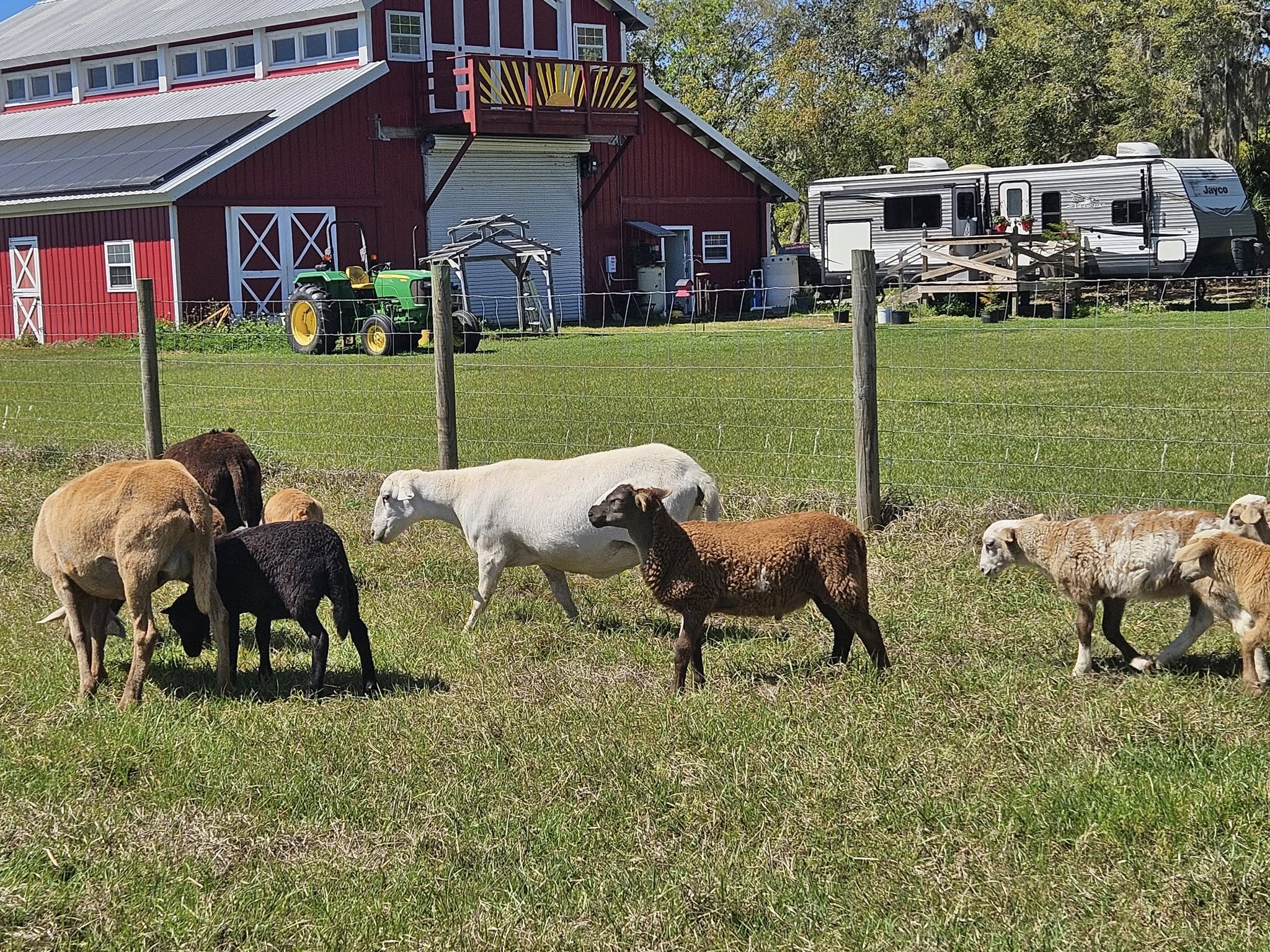 Farm Scene