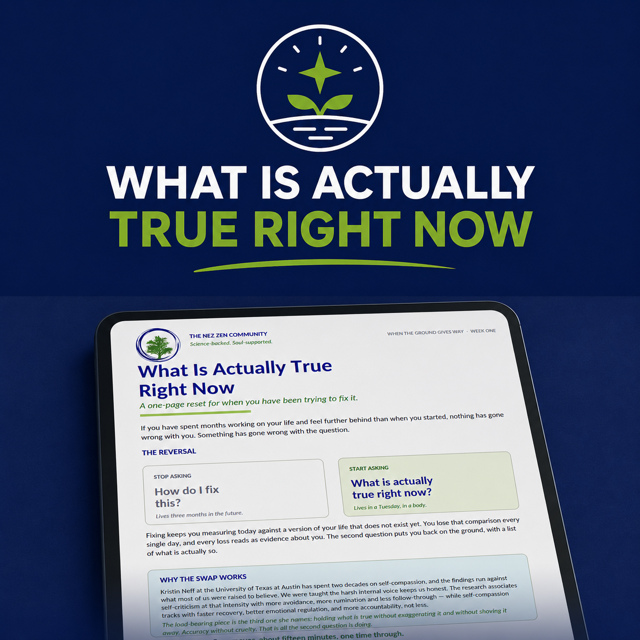 What Is Actually True Right Now reset