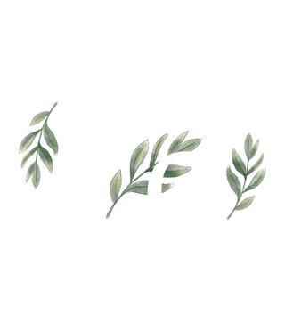Naturally Curious Day Nursery Logo