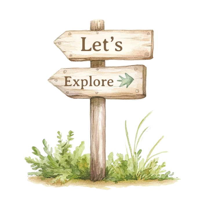 External Trips in the Local Area