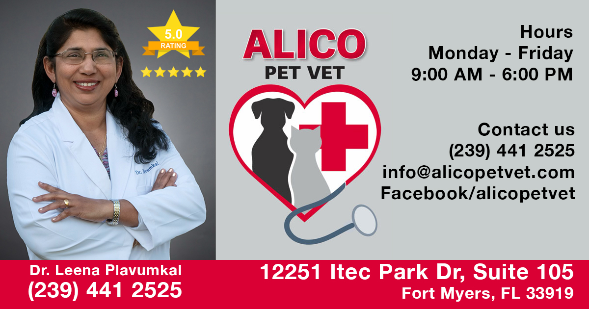 Alico Pet Vet (239) 441 2525 Veterinary Clinic Fort Myers, FL