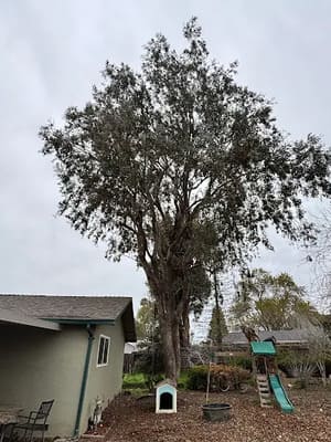 {{ custom_values.service_2 }} in {{custom_values.area_2})