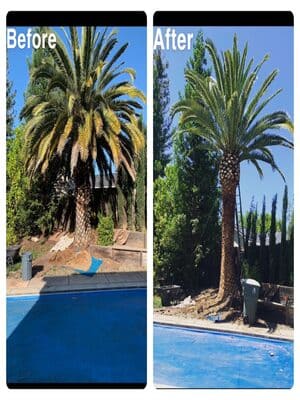 {{ custom_values.service_3 }} in {{custom_values.area_3})