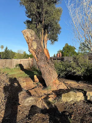 {{ custom_values.service_3 }} in {{custom_values.area_3})