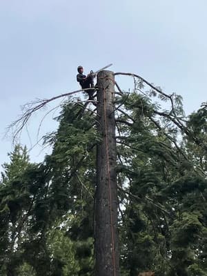 {{ custom_values.service_4 }} in {{custom_values.area_2})