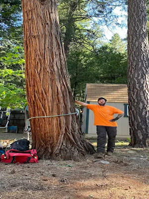 {{ custom_values.service_3 }} in {{custom_values.area_3})