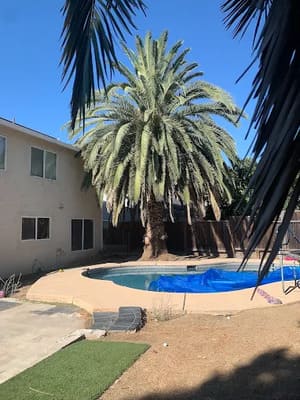 {{ custom_values.service_1 }} in {{custom_values.area_5})