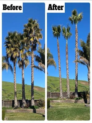 {{ custom_values.service_3 }} in {{custom_values.area_3})