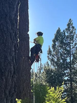 {{ custom_values.service_3 }} in {{custom_values.area_3})