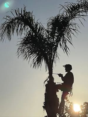 {{ custom_values.service_3 }} in {{custom_values.area_3})