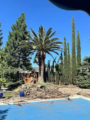 {{ custom_values.service_3 }} in {{custom_values.area_3})