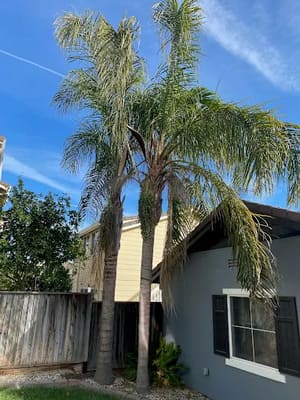 {{ custom_values.service_3 }} in {{custom_values.area_3})