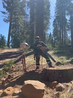 {{ custom_values.service_3 }} in {{custom_values.area_3})