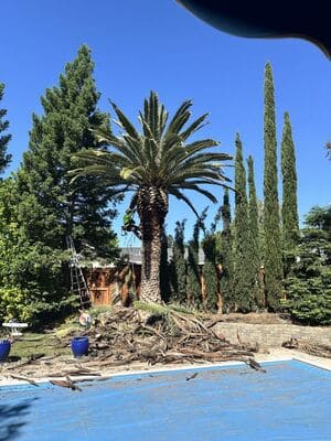 {{ custom_values.service_3 }} in {{custom_values.area_3})