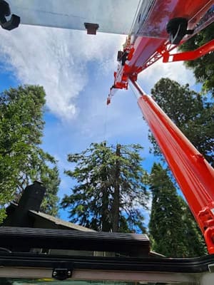 {{ custom_values.service_3 }} in {{custom_values.area_3})