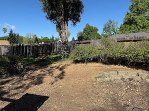 {{ custom_values.service_2 }} in {{custom_values.area_2})