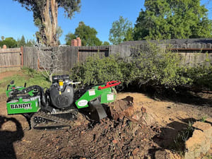 Stump grinding in Vacaville, CA