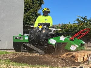 Palm tree pruning in Fairfield, CA