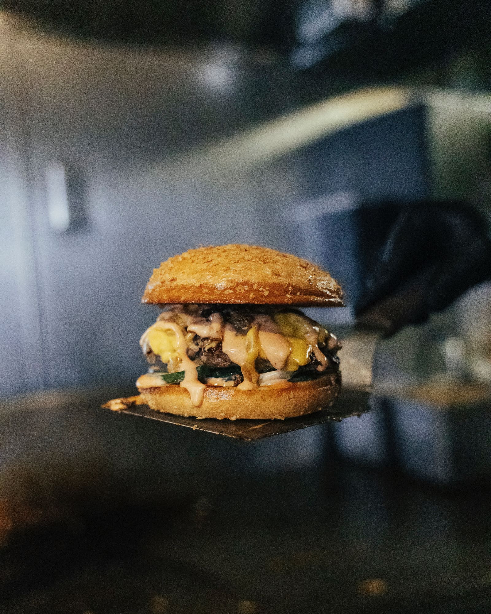 Loaded fries and sides at Panda Sal's