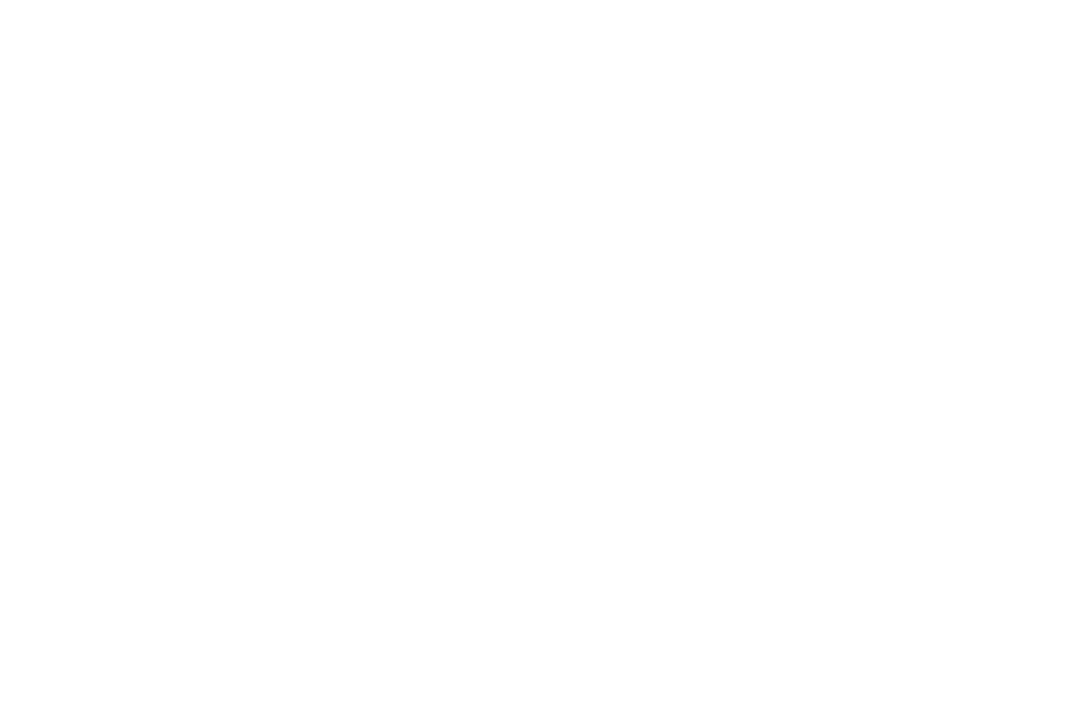 Palm Harbor Construction Staffing	 logo