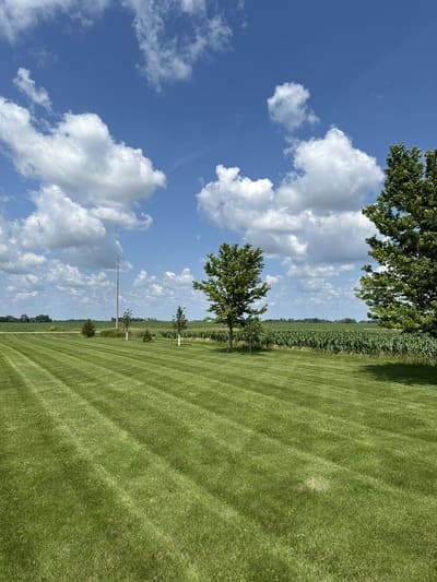 {{ custom_values.service_3 }} in {{custom_values.area_2})