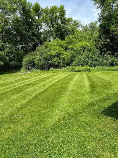 {{ custom_values.service_4 }} in {{custom_values.area_1})