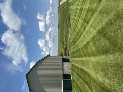 Mulch installation in Alexandria