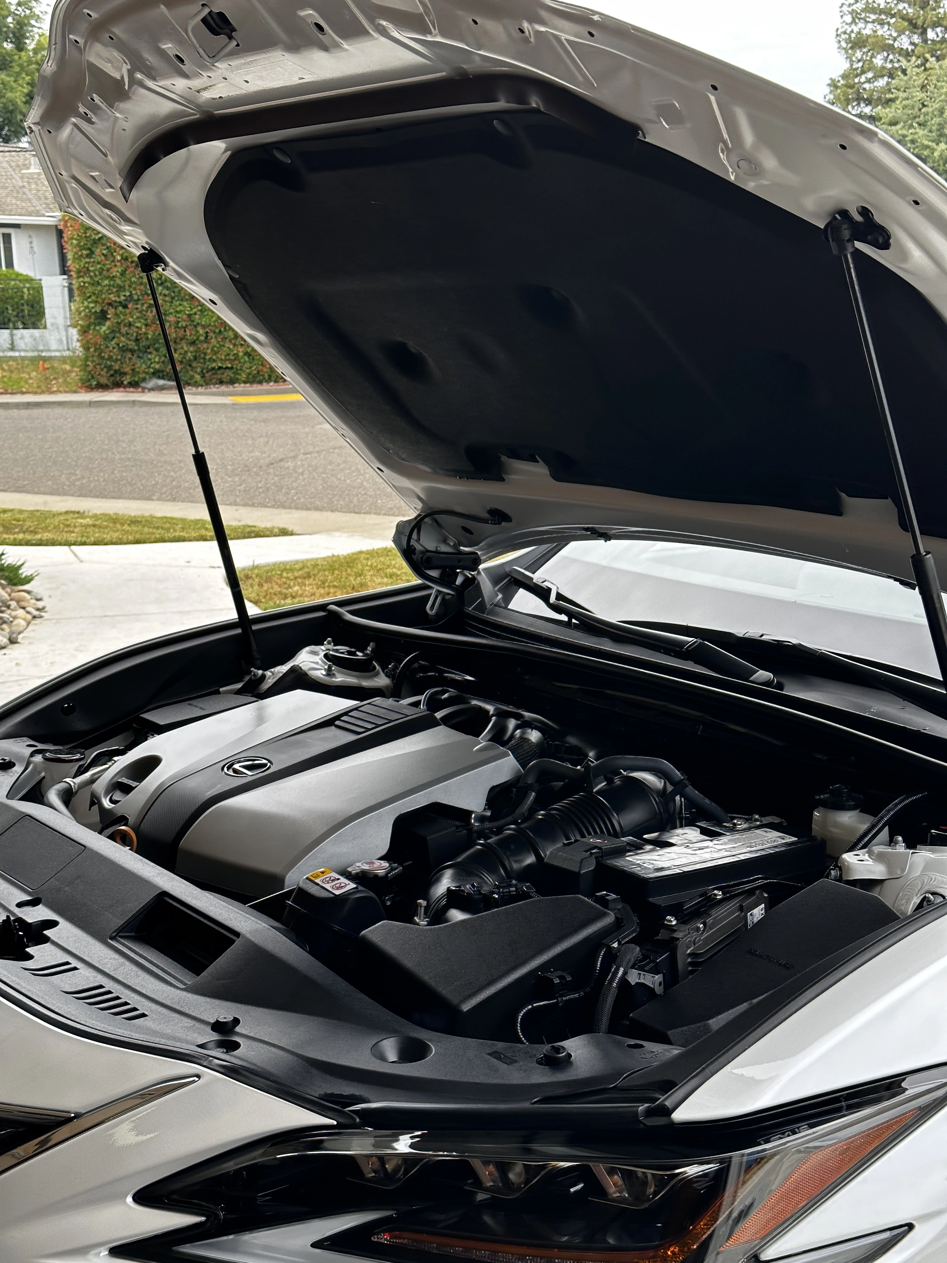 Engine Bay Detail