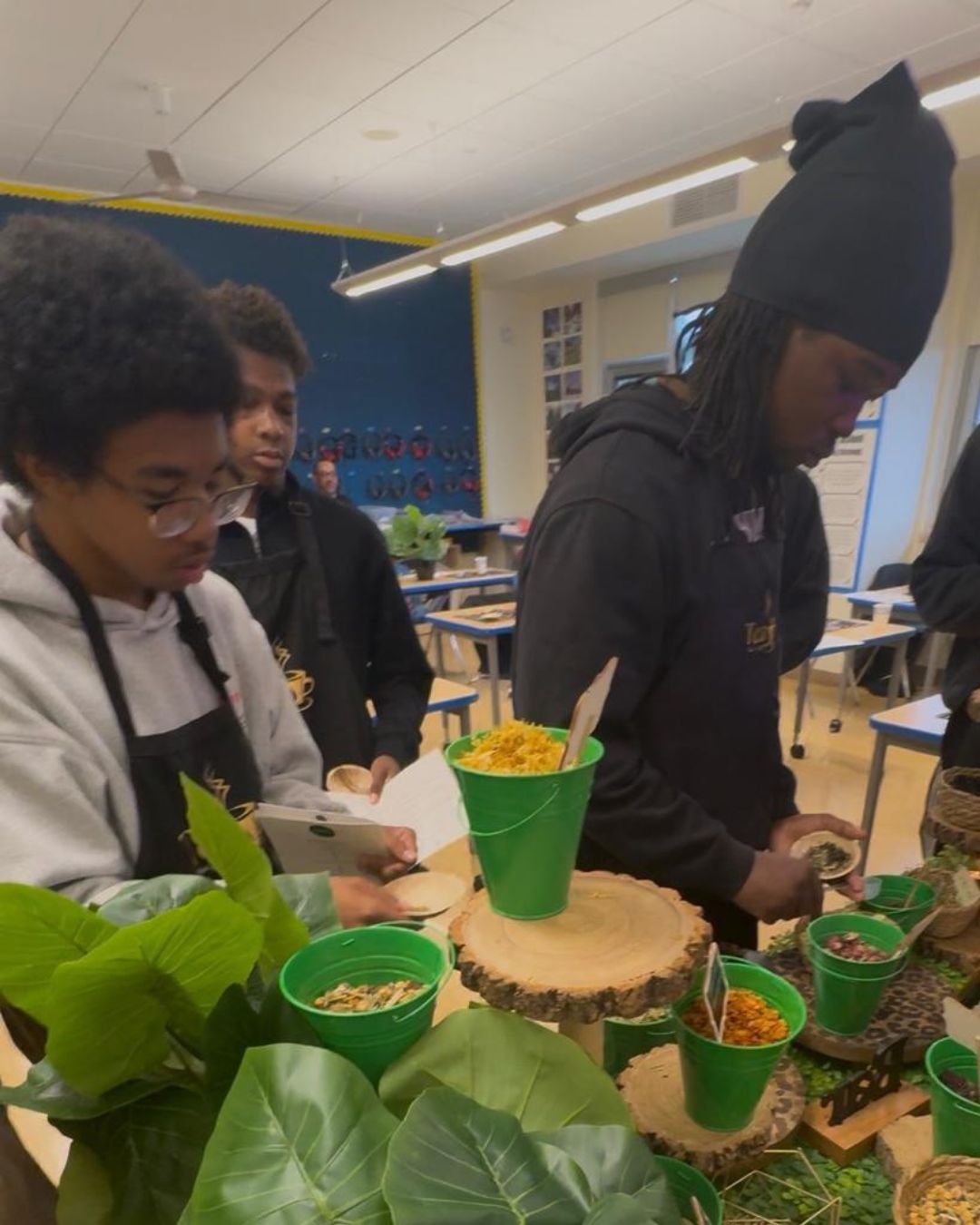 Junior Herbalists
