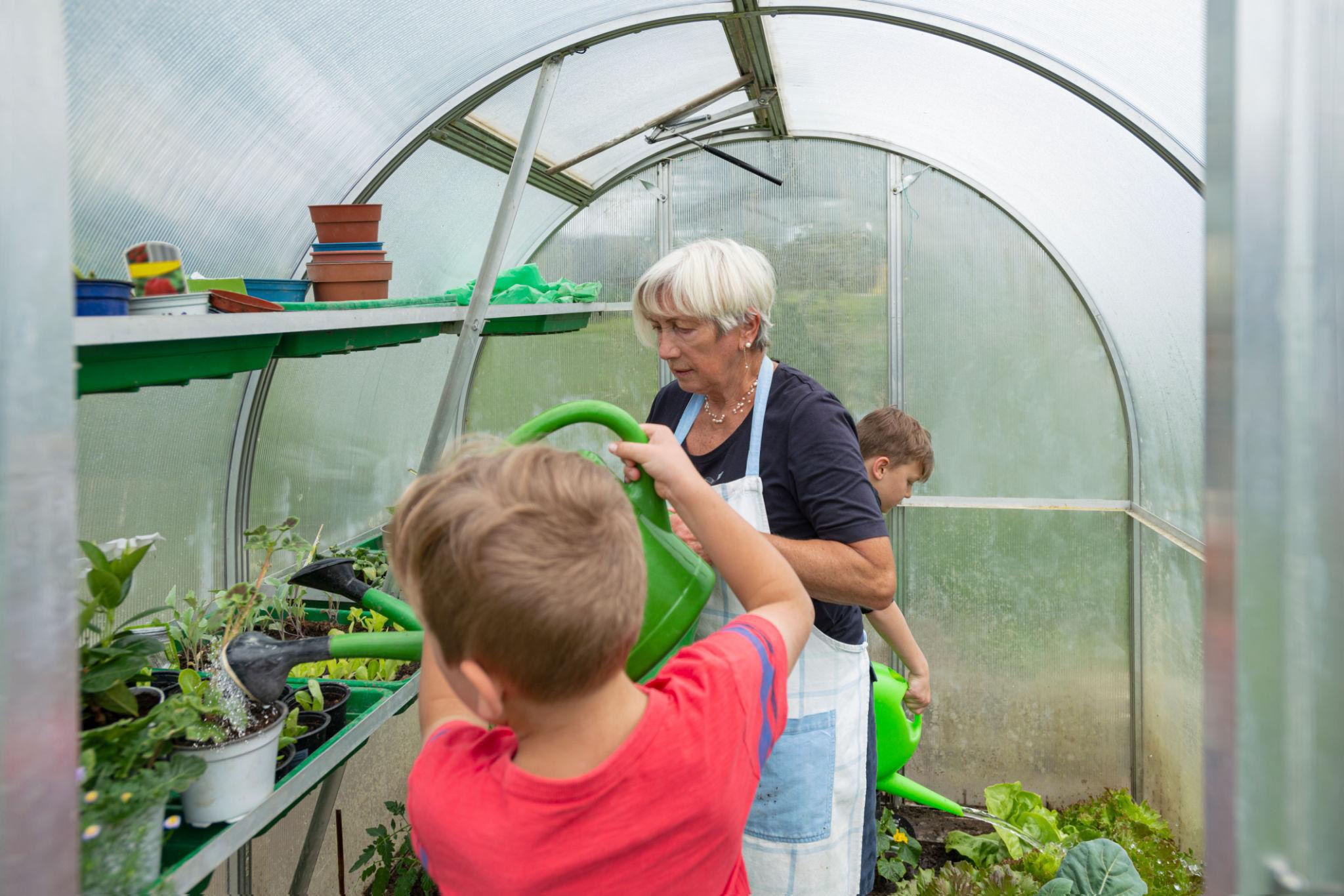 Fresh vegetables, bee hives, greenhouse, or stocked fishing pond at The Promised Land Community