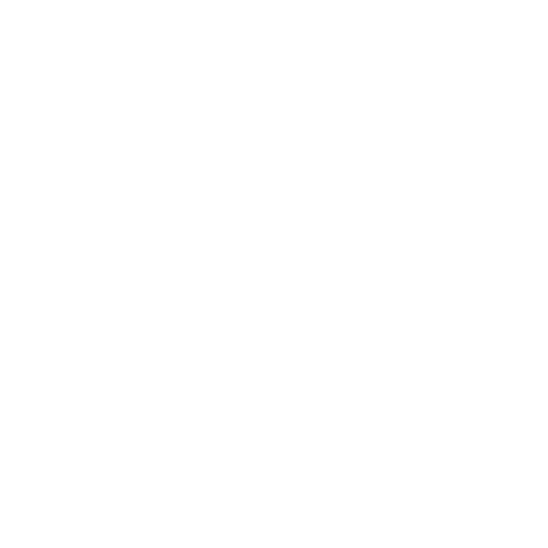 GeekSkwaad