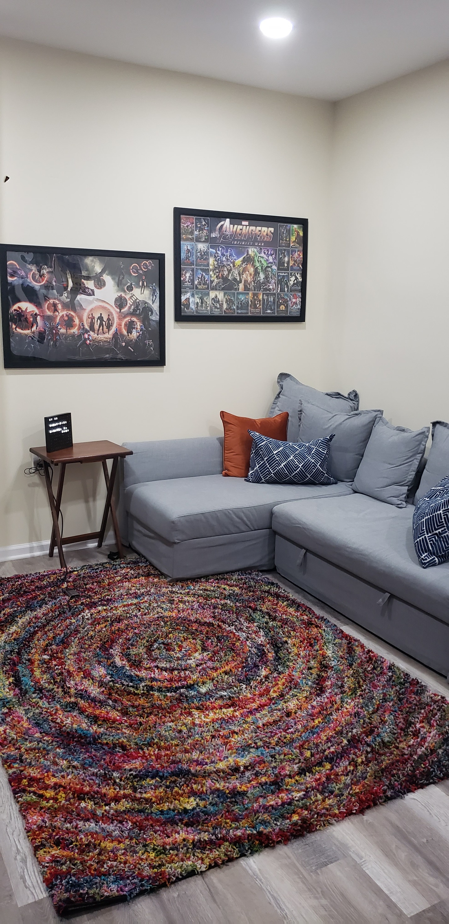 Basement Living Area