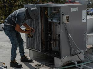 {{ custom_values.service_2 }} in {{custom_values.area_1})