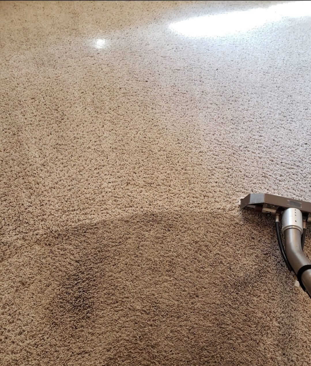 Clearly you can see before and after we did our cleaning here. 