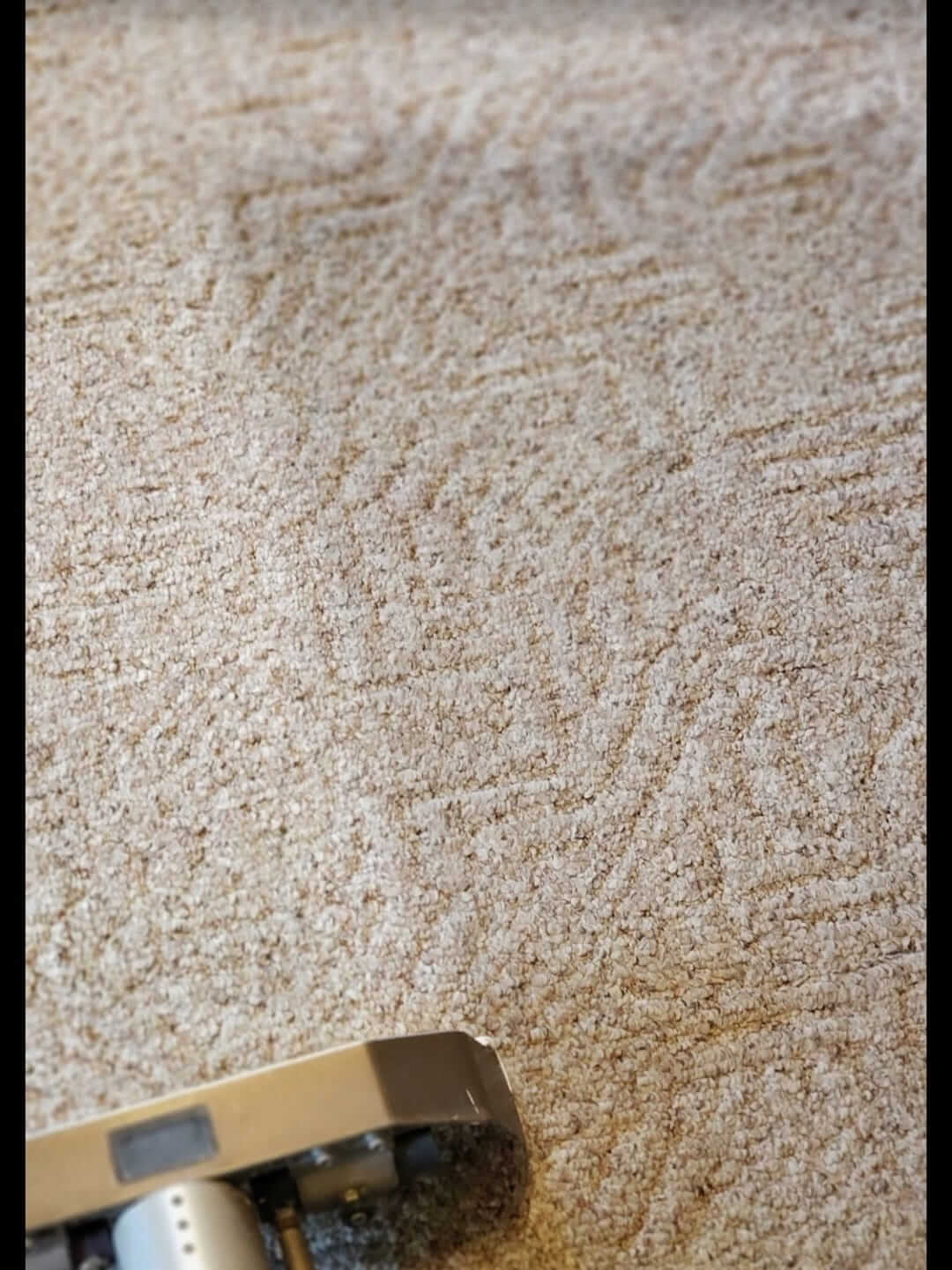 A dirty carpet on one side, compared to our cleaned side after we cleaned the carpet
