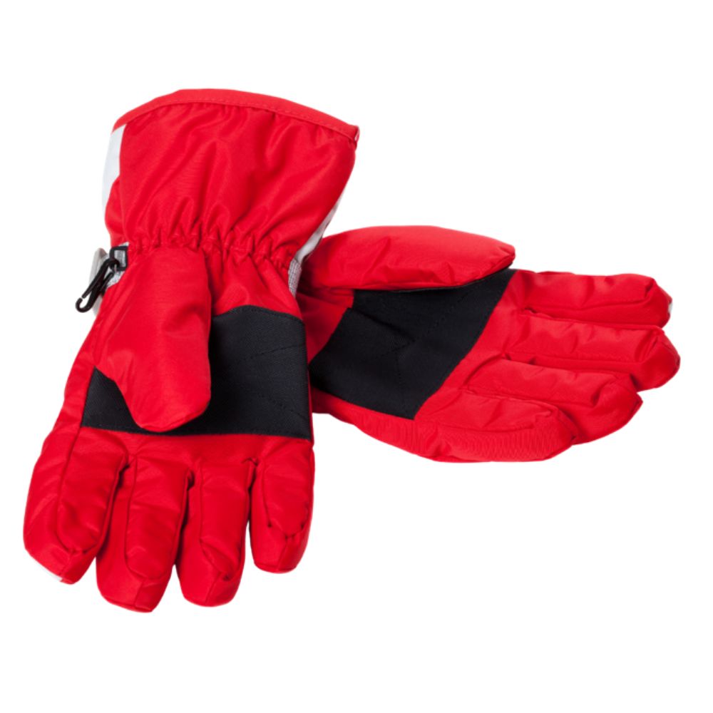 A pair of gloves