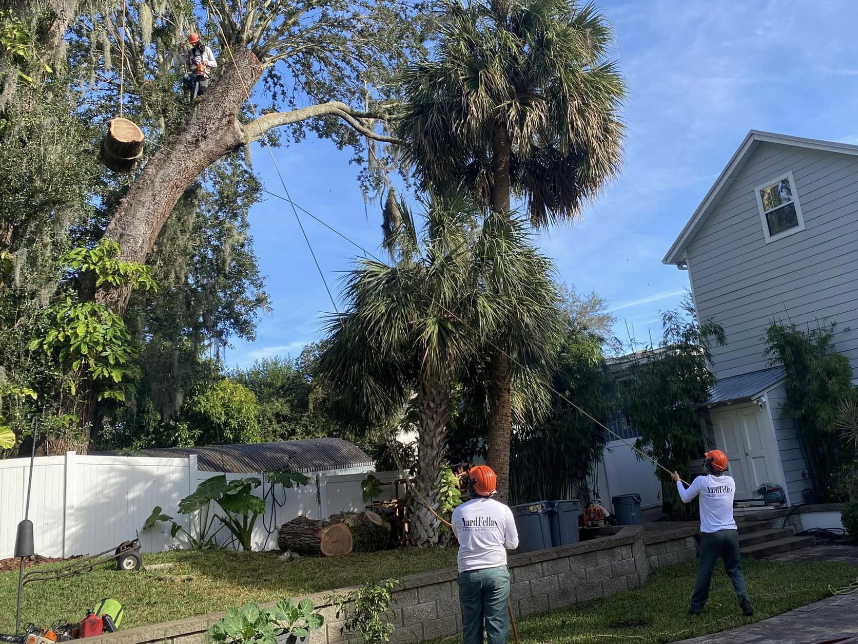 Tree Trimming Orlando