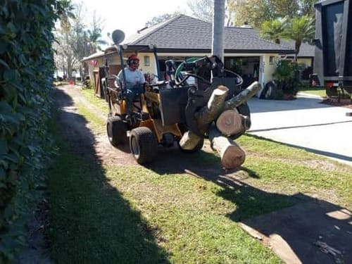 Winter Park Tree Removal