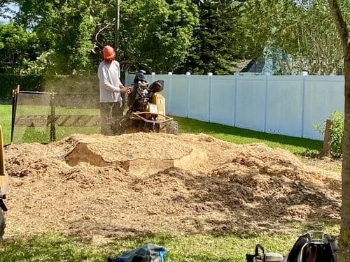 Winter Park Stump Grinding