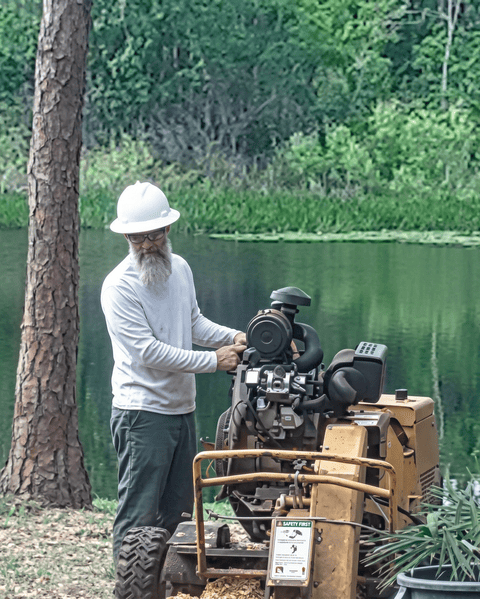 Oviedo Stump Grinding