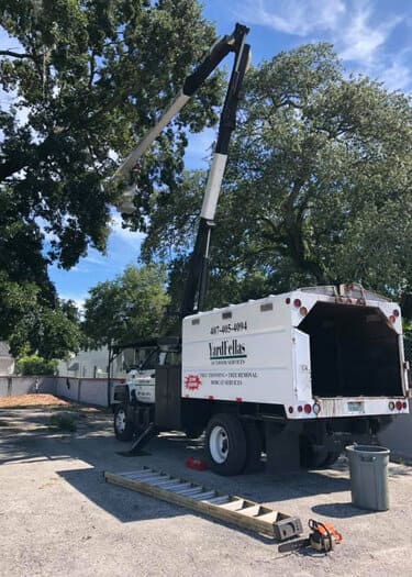 Orlando Stump Grinding