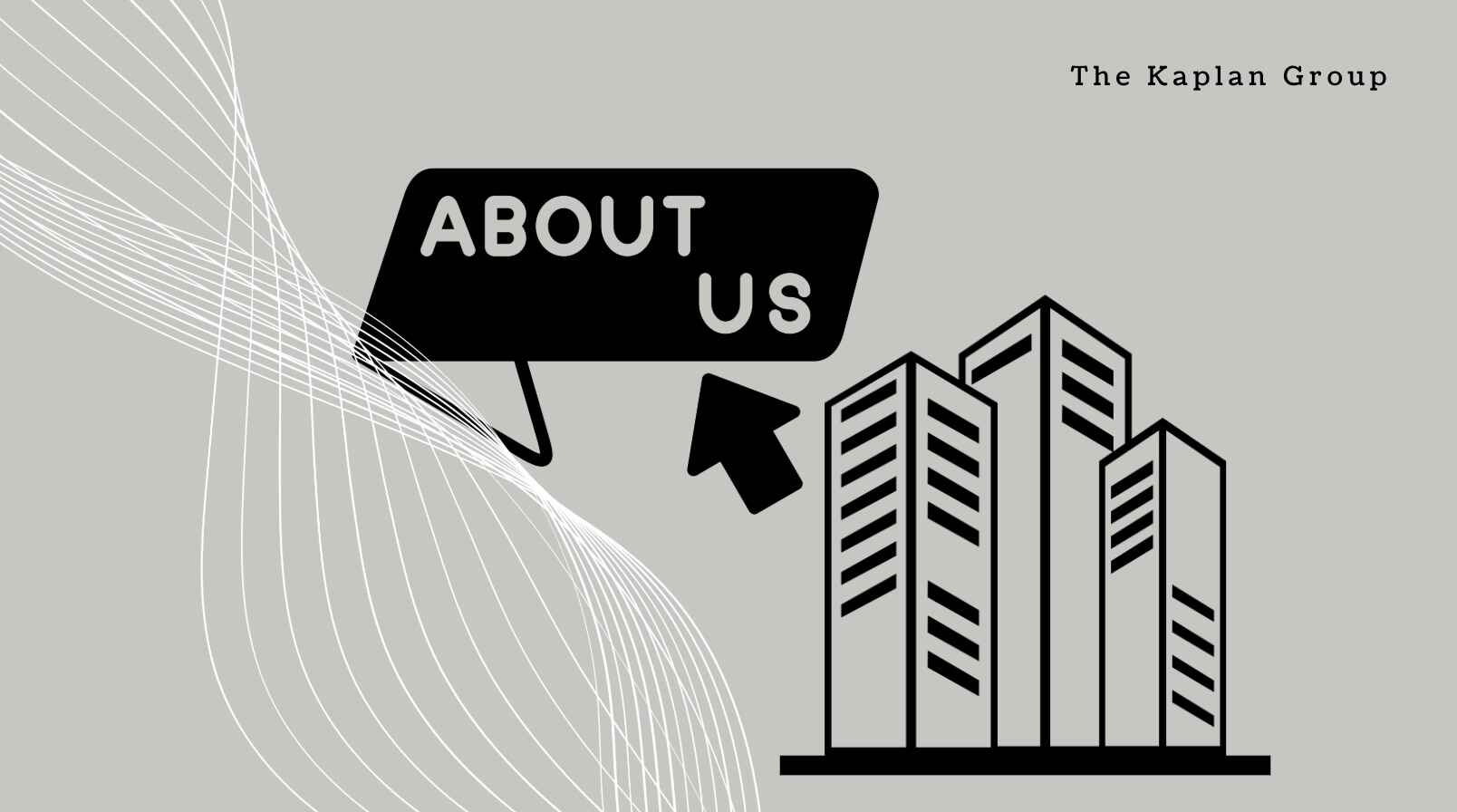 about the kaplan group